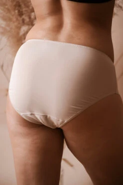 Culotte Haute Microfibre 12 Culotte Haute Microfibre -Lingerie Sensuel Boutique MC202102041360 250