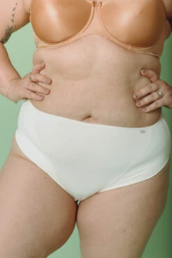 Culotte Haute Microfibre 15 Culotte Haute Microfibre -Lingerie Sensuel Boutique MC202105131535 319