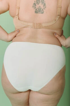 Culotte Haute Microfibre 16 Culotte Haute Microfibre -Lingerie Sensuel Boutique MC202105131535 322