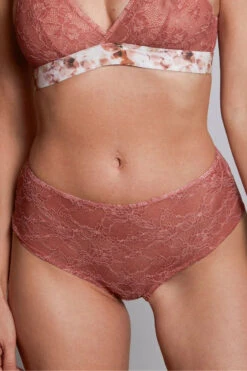 Culotte Haute Dentelle Assa Biscuit