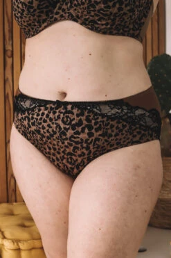 PRIMA DONNA Culotte Haute Madison Bronze